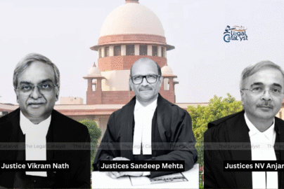 Stray Dogs Case Moved to New Three-Judge Supreme Court Bench Amid Protests